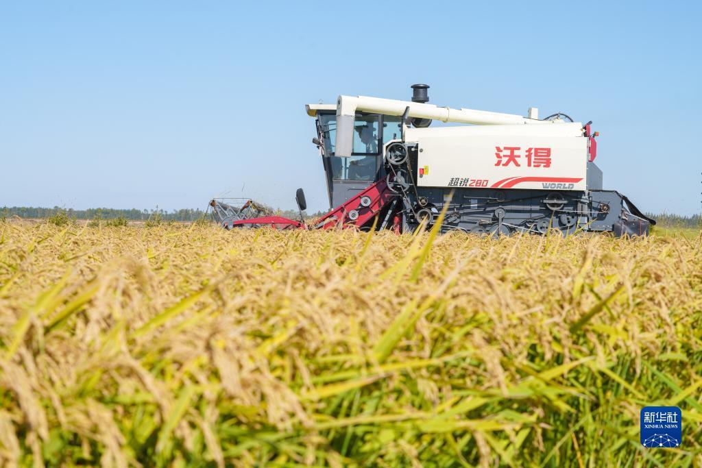永利现金玩法